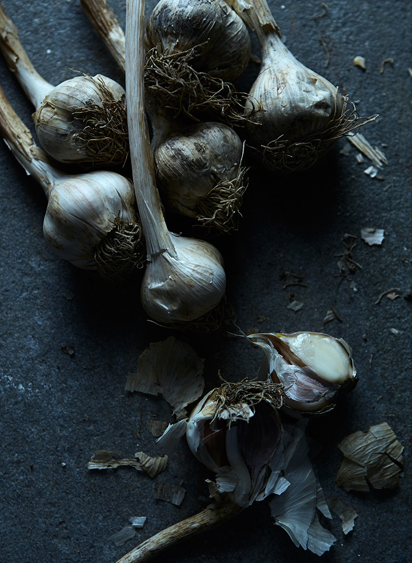 Garlic_017_Final_Flat_for_web