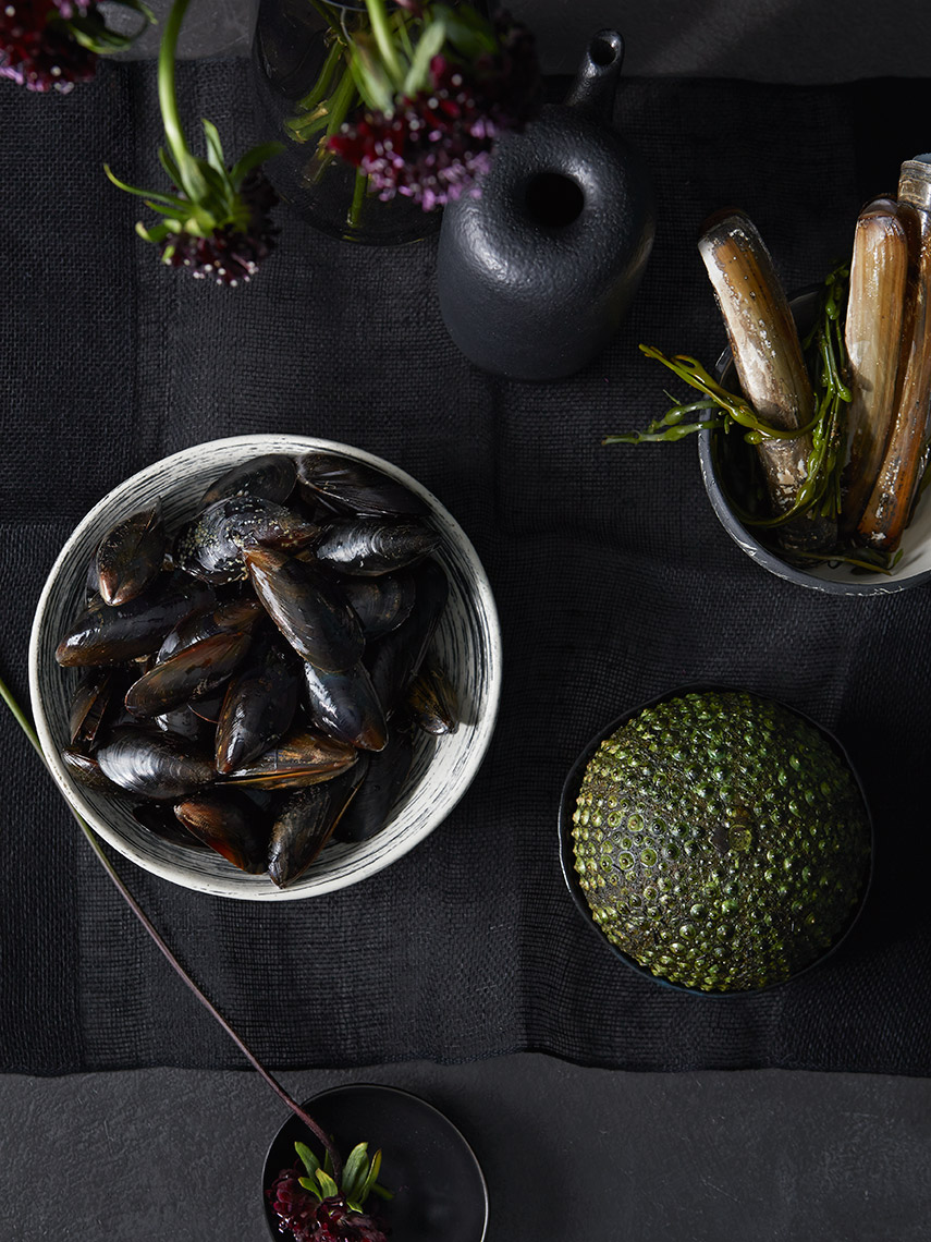 MIxed_Seafood_black_Main_01_for_web_02_less_contrast