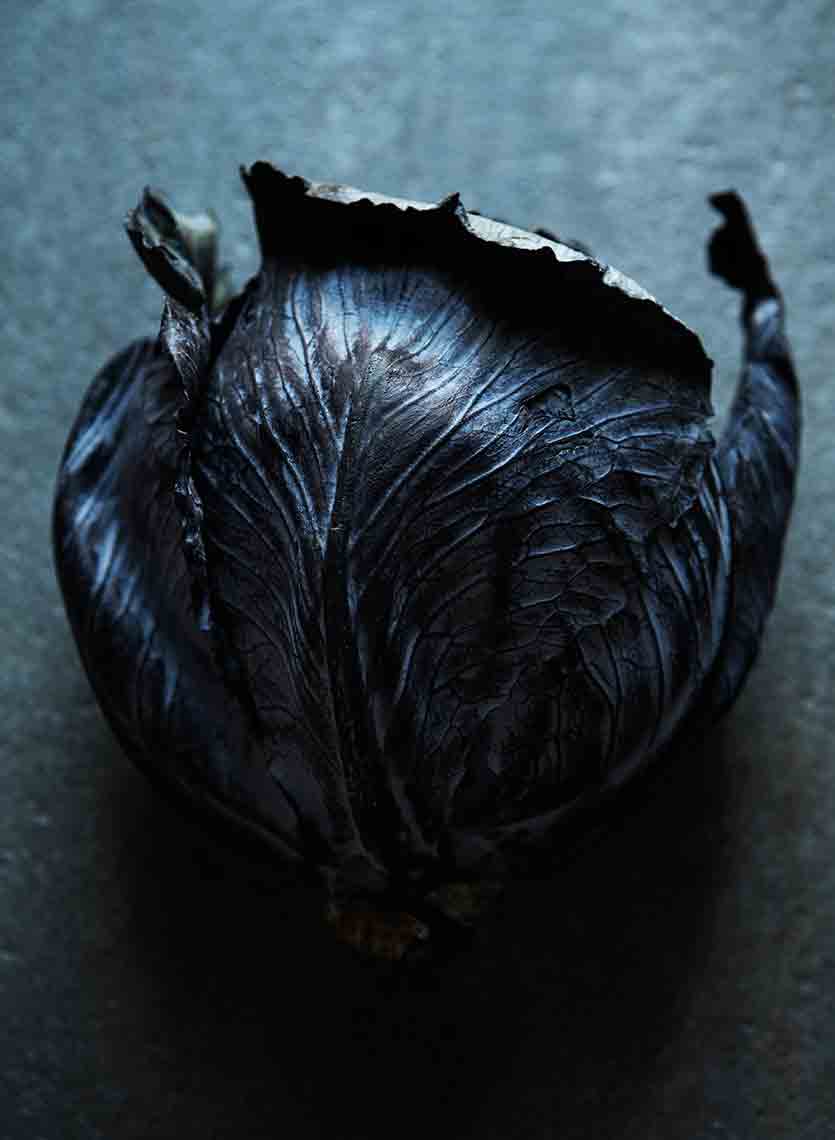 Red_Cabbage_053_Final_Flat_for_web